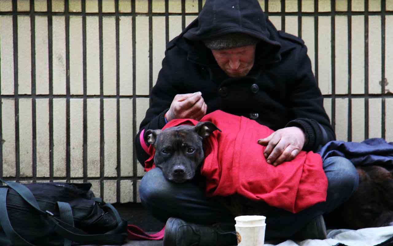 Man with dog