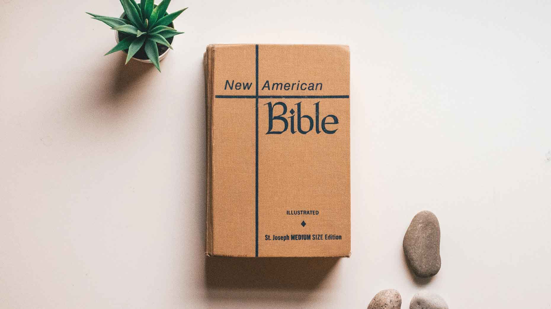 New American Bible